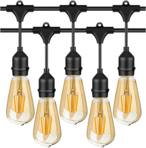 Commercial Grade Festoon Lights